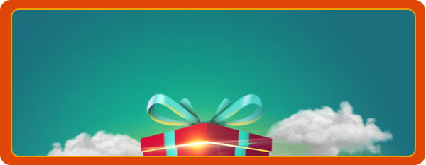 Bingo online pix