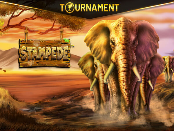 Superpoker.com.br